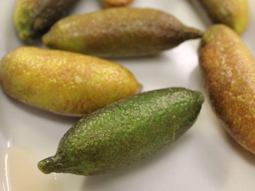 recette pour le réveillon : St jacques au beurre et au citron