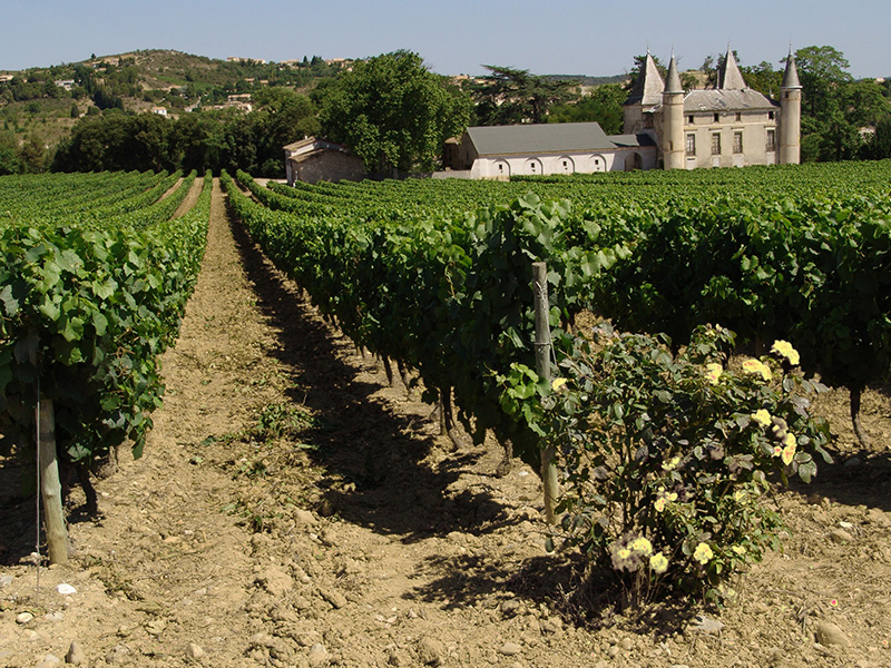 Balades au domaine de Flandry