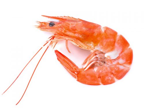 Crevette à la grecque recette